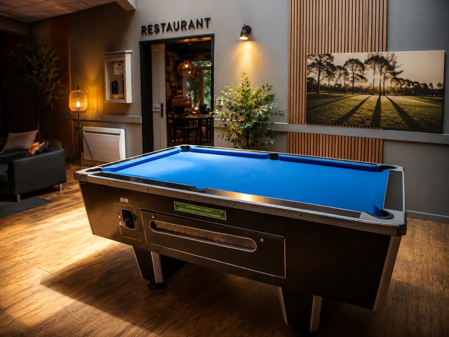 Le salon — billard