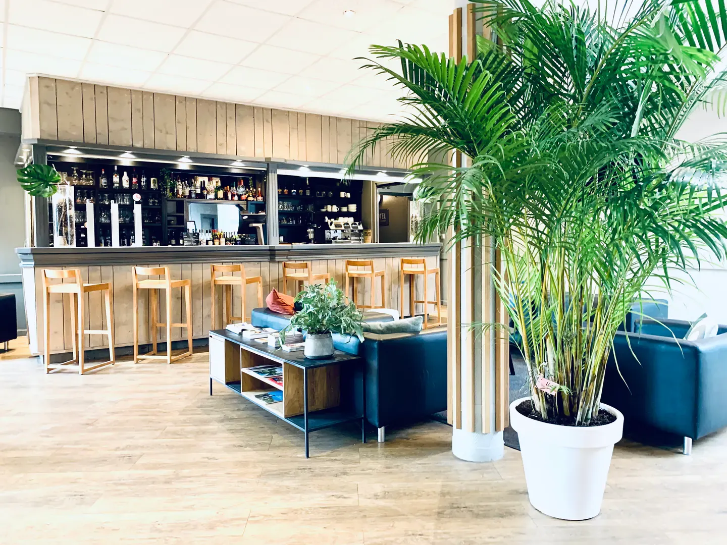Le bar — côté jardin