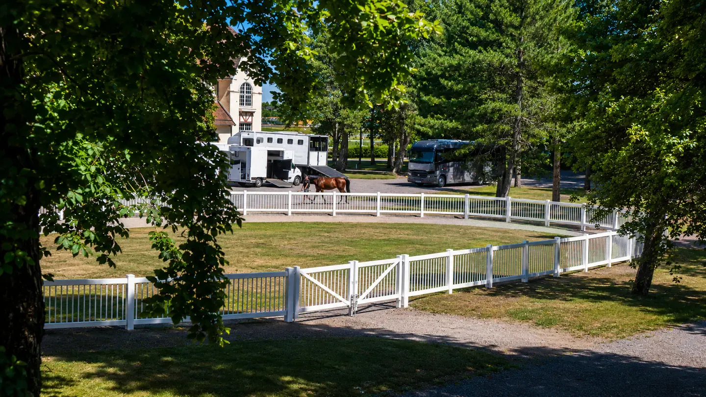 Paddock du centre équestre voisin