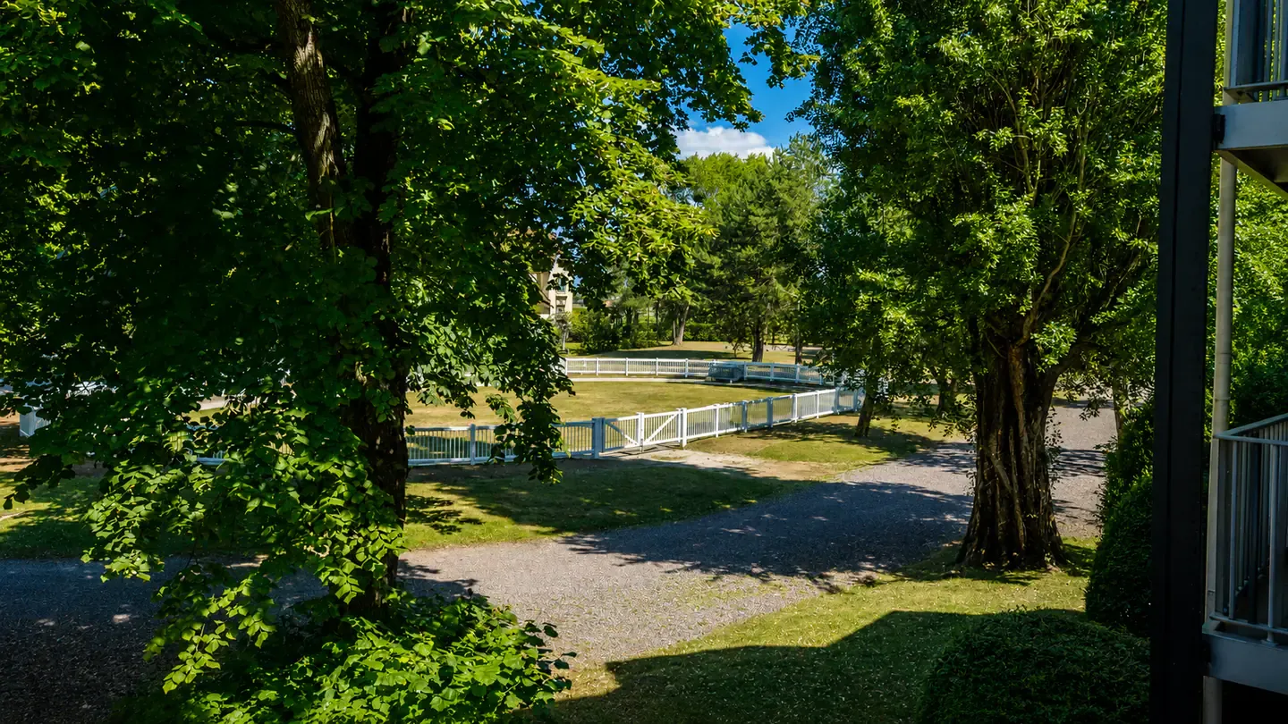 Les abords boisés de l’Hippotel